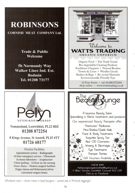 10th (2013) Lostwithiel Charity Beer Festival Programme